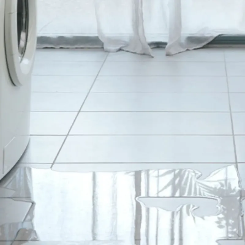 Appliance Leak Cleanup in Dunlap, IL