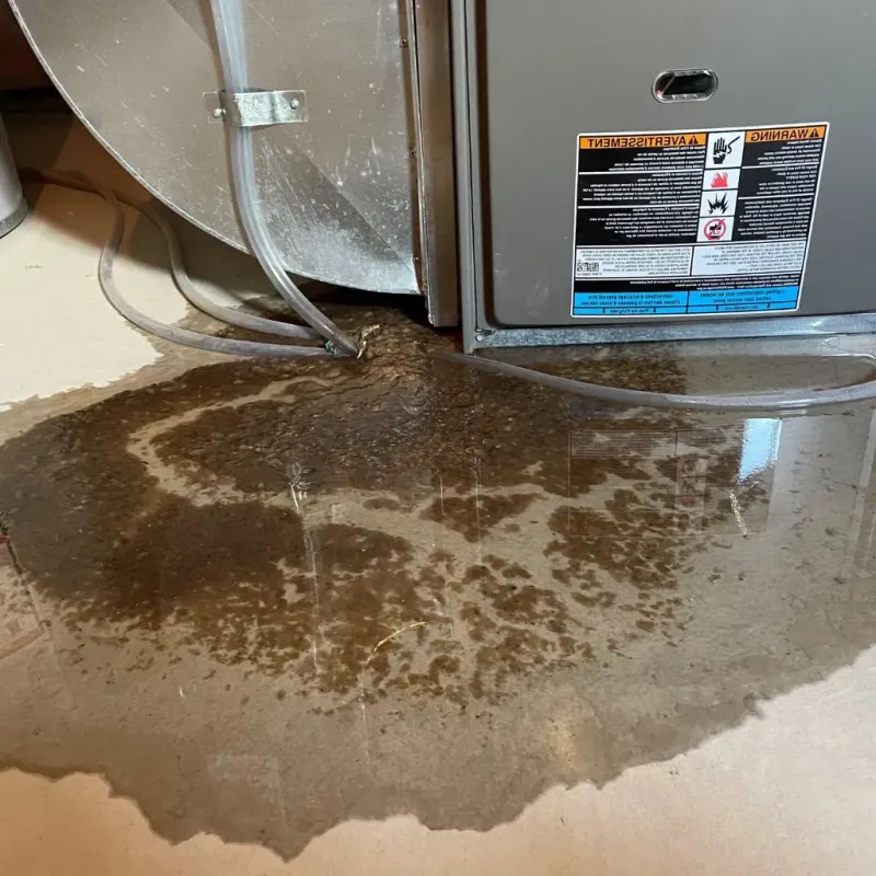 Pipe Burst and Leak Restoration in Dunlap, IL