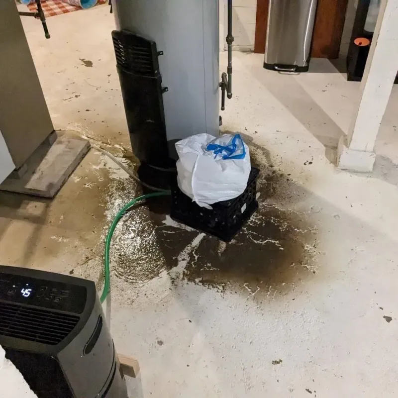 Sewage Backup Cleanup Service in Dunlap, IL